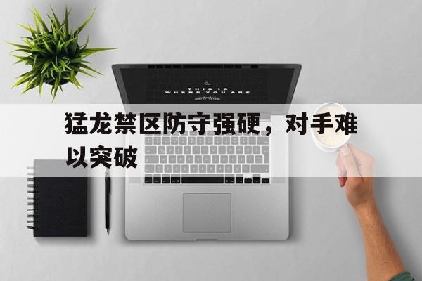 猛龙禁区防守强硬，对手难以突破