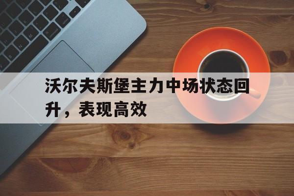沃尔夫斯堡主力中场状态回升，表现高效的简单介绍